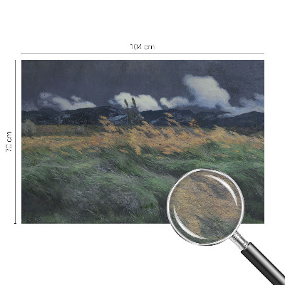 Netkana fototapeta Pokošene trave