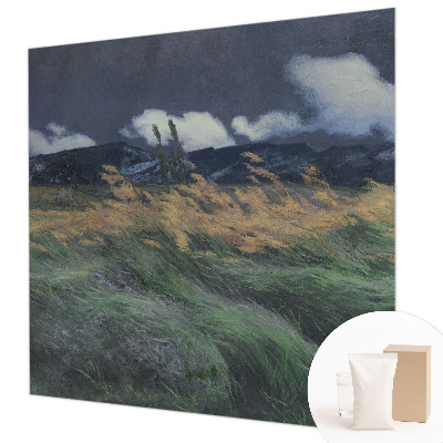 Netkana fototapeta Pokošene trave