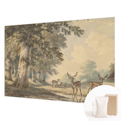 Moderna fototapeta Gozdni mir