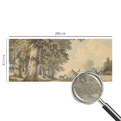 Moderna fototapeta z motivom gozda za ustvarjanje pomirjajočega ambienta