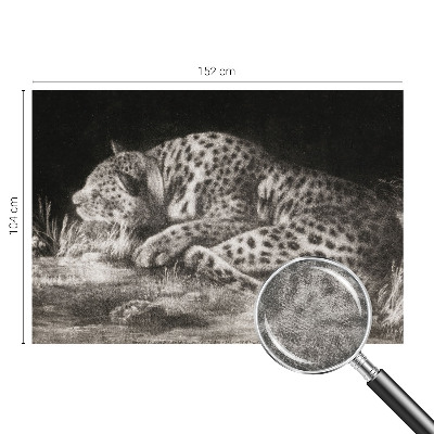 Foto tapeta z motivom leoparda, ki počiva