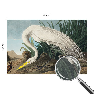 Flis fototapeta za otroško sobo Veličastna čaplja