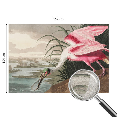 Moderna fototapeta Eksotična ptica