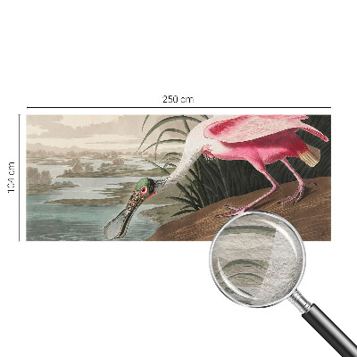 Moderna fototapeta z motivom eksotične ptice
