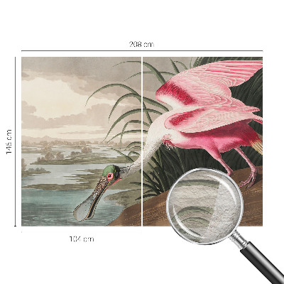 Moderna fototapeta Eksotična ptica