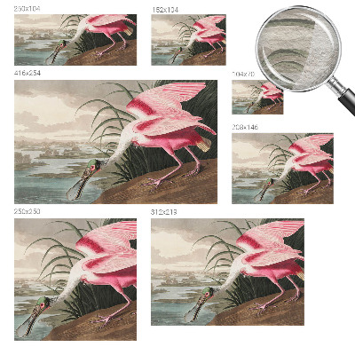 Moderna fototapeta Eksotična ptica