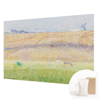 Visokokakovostna fototapeta z motivom poletnega polja
