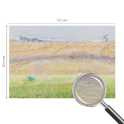 Visokokakovostna fototapeta z motivom poletnega polja