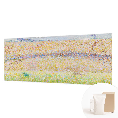Visokokakovostna fototapeta z motivom poletnega polja