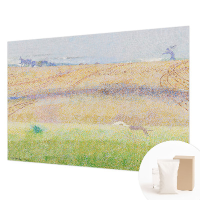 Visokokakovostna fototapeta z motivom poletnega polja
