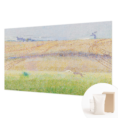 Visokokakovostna fototapeta z motivom poletnega polja