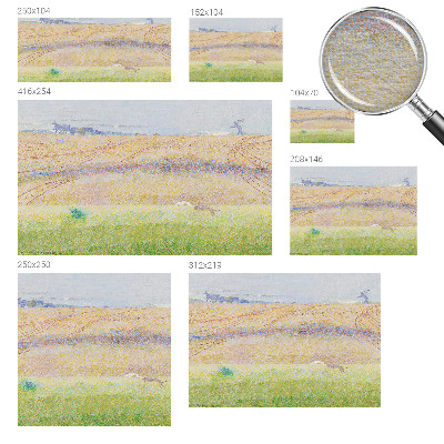 Visokokakovostna fototapeta Poletno polje