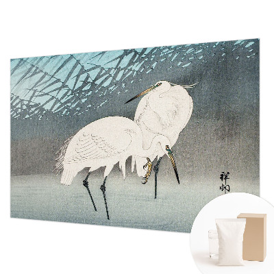 Stenska dekoracija fototapeta Nežne ptice