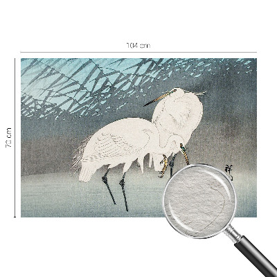 Stenska dekoracija fototapeta Nežne ptice