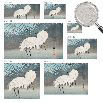 Stenska dekoracija fototapeta Nežne ptice