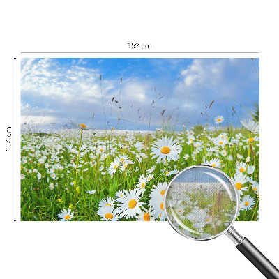 Samolepilna fototapeta za dnevno sobo z motivom poletnega travnika