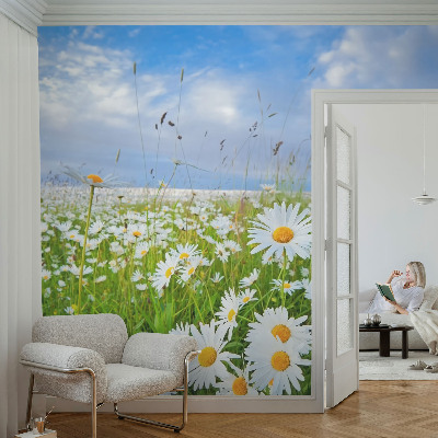 Samolepilna fototapeta za dnevno sobo z motivom poletnega travnika