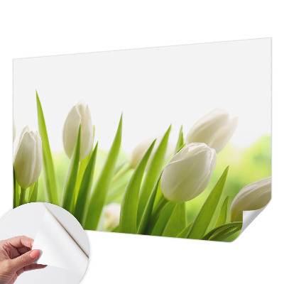 Otroška fototapeta z motivom belih tulipanov
