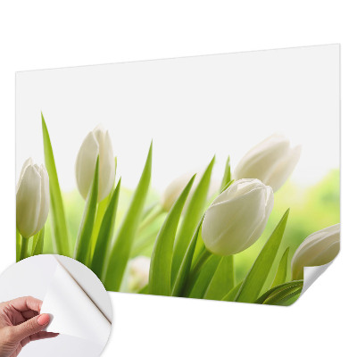 Otroška fototapeta z motivom belih tulipanov