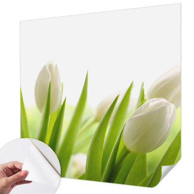 Otroška fototapeta z motivom belih tulipanov