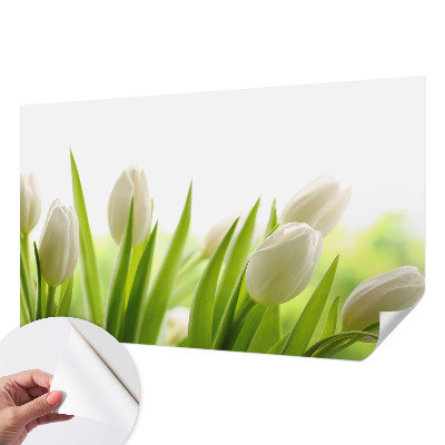 Otroška fototapeta z motivom belih tulipanov