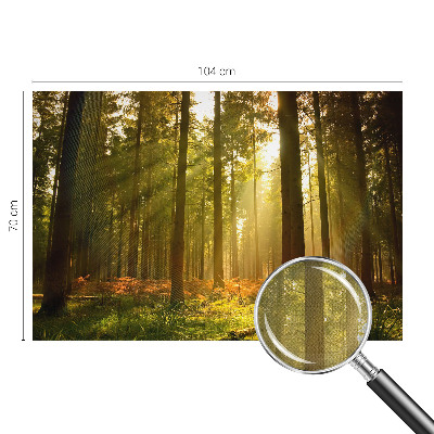 Samolepilna fototapeta z motivom goznega jutra