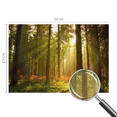Samolepilna fototapeta z motivom goznega jutra