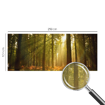 Samolepilna fototapeta Gozdno jutro