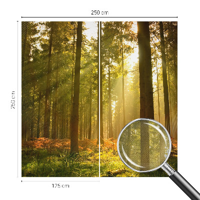 Samolepilna fototapeta z motivom goznega jutra
