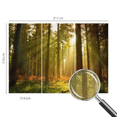 Samolepilna fototapeta z motivom goznega jutra