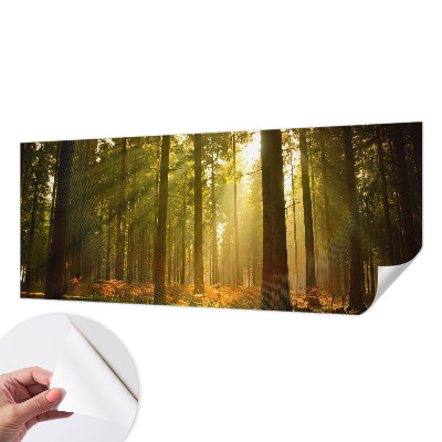 Samolepilna fototapeta z motivom goznega jutra