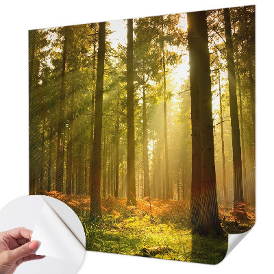Samolepilna fototapeta z motivom goznega jutra