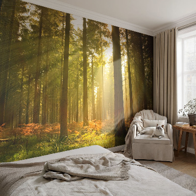 Samolepilna fototapeta z motivom goznega jutra