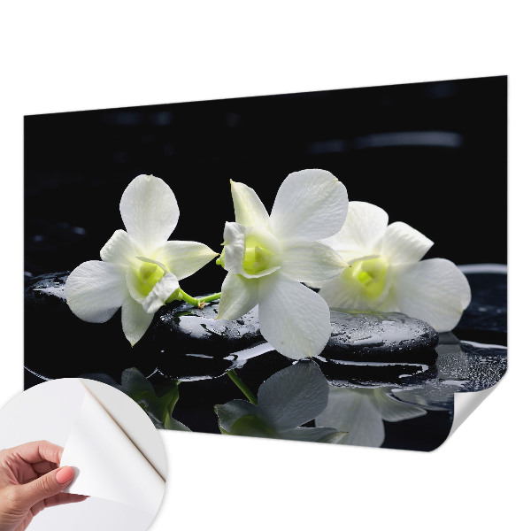3D fototapeta z motivom cvetja in kamnov