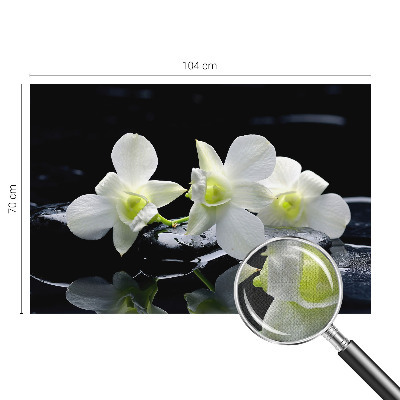 3D fototapeta Rože in kamni