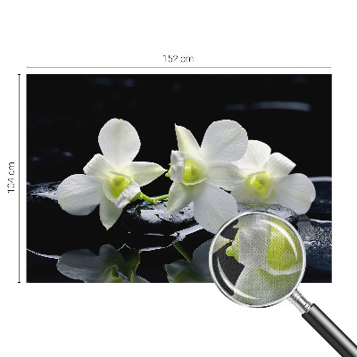 3D fototapeta Rože in kamni