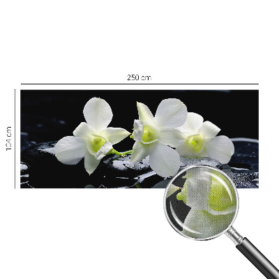 3D fototapeta Rože in kamni