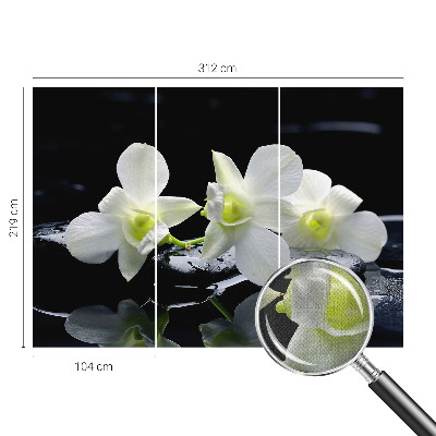 3D fototapeta Rože in kamni