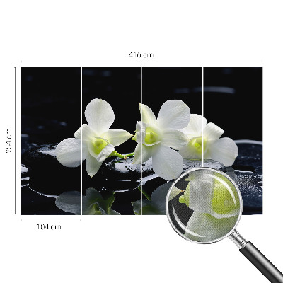 3D fototapeta Rože in kamni