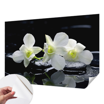3D fototapeta z motivom cvetja in kamnov