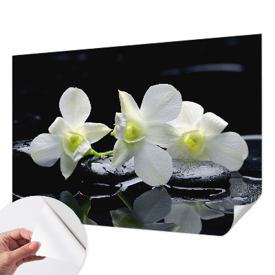 3D fototapeta z motivom cvetja in kamnov