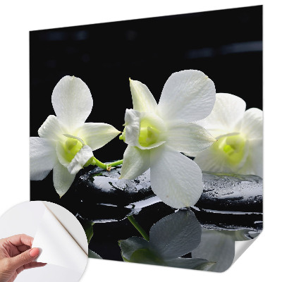3D fototapeta z motivom cvetja in kamnov