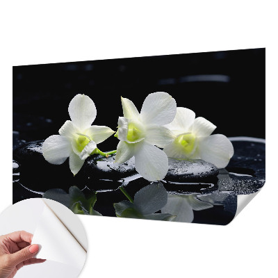 3D fototapeta z motivom cvetja in kamnov