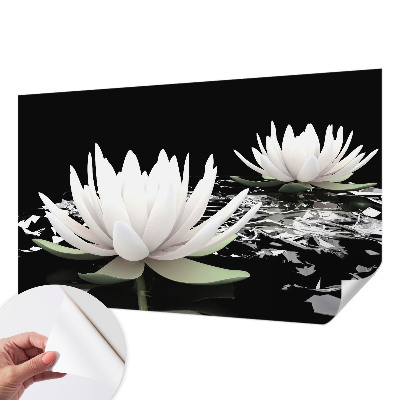 Fototapeta za otroško sobo z motivom vodnih rož