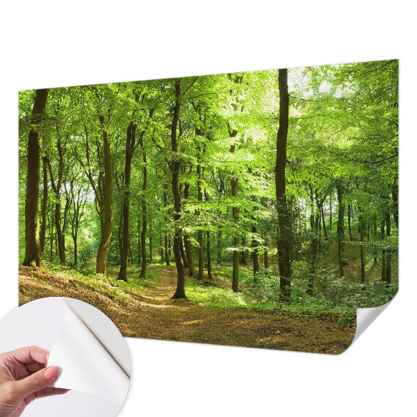 Fototapeta za otroško sobo z motivom naravnih elementov
