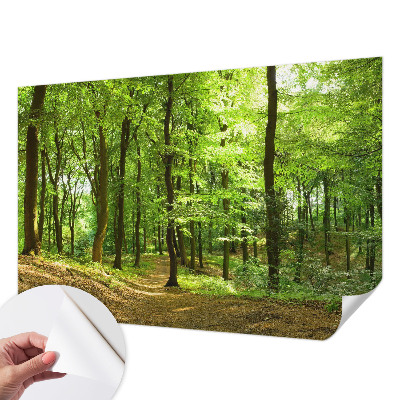 Fototapeta za otroško sobo z motivom naravnih elementov