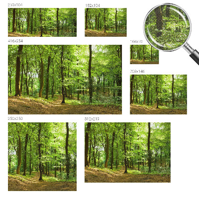 Fototapeta za otroško sobo z motivom naravnih elementov