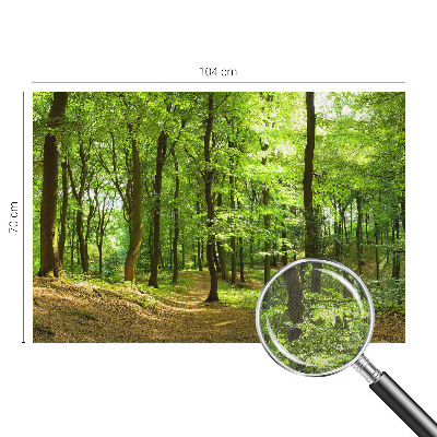 Fototapeta za otroško sobo Naravna pot