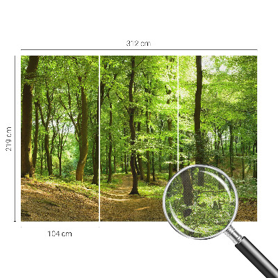 Fototapeta za otroško sobo Naravna pot