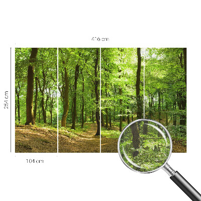 Fototapeta za otroško sobo Naravna pot